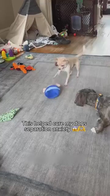 Pelota Saltarina Interactiva con Música y Vibración – Juguete Masticable, Resistente a Mordeduras y con Movimiento Automático para Perros en Interiores